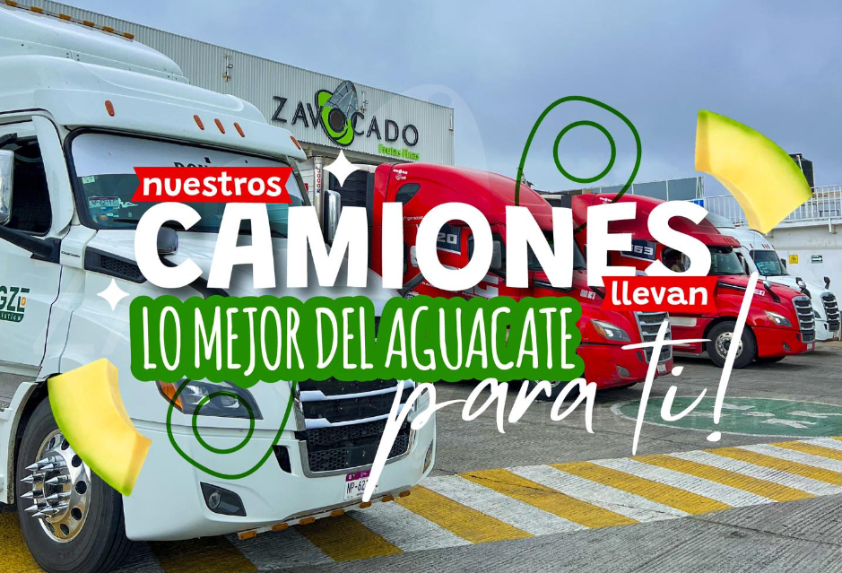 Exportación terrestre